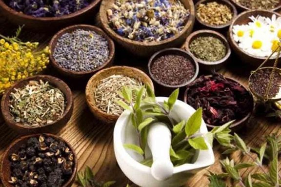 رییس اتحادیه عطاران استان تهران: هیچ نظارتی بر فروش گیاهان دارویی در فضای مجازی وجود ندارد