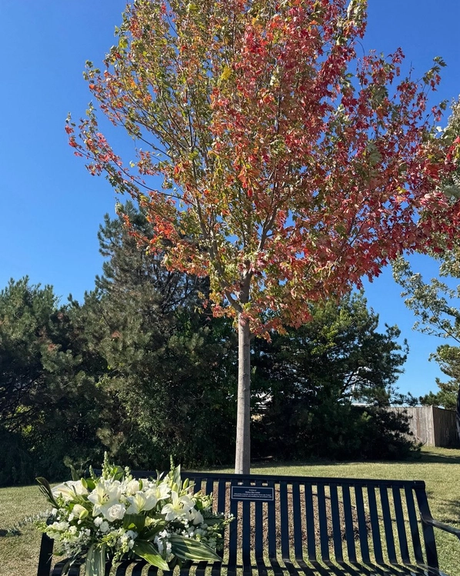 تورونتو: إزاحة الستار عن شجرة ونصب تذكاري باسم مهسا أميني