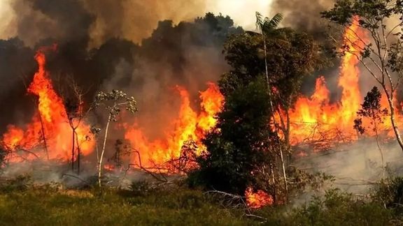 روزنامه هممیهن: خاموش کردن آتش الیت با یک بار آبپاشی در روز امکانپذیر نبود