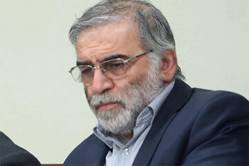 Iranian nuclear scientist and member of IRGC Mohsen Fakhrizadeh (Undated)
