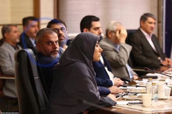 Vice President Mohammad-Reza Aref's son Hamid-Reza Aref