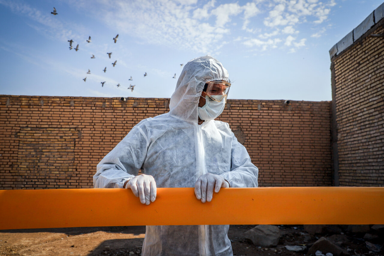 سازمان جهانی بهداشت حیوانات از شیوع یک نوع مسری آنفلوانزای پرندگان در ایران خبر داد