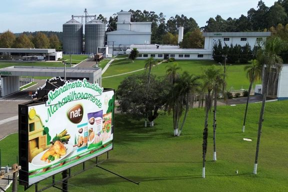 برزیل شیوع آنفلوآنزای پرندگان را تایید کرد؛ واردکنندگان مرغ محدودیتهای ویژه اعمال میکنند