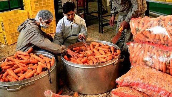 مقام صنفی: قاچاق هویج به عراق و پاکستان باعث گرانی در بازار شد