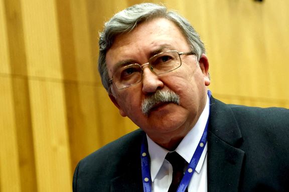 نماینده روسیه ارتباط بین وقفه در مذاکرات وین و خواستههای جدید مسکو را رد کرد