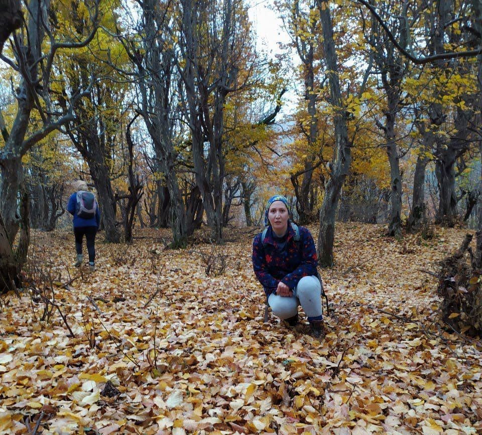 مقررة حقوق الإنسان في إيران: تأييد حكم الإعدام لناشطة إيرانية يؤكد ضرورة إلغاء العقوبة
