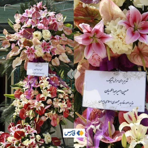 امیرعبداللهیان، وزیر خارجه بهخاطر حمله به اسرائیل برای فرمانده هوافضای سپاه، گل فرستاد