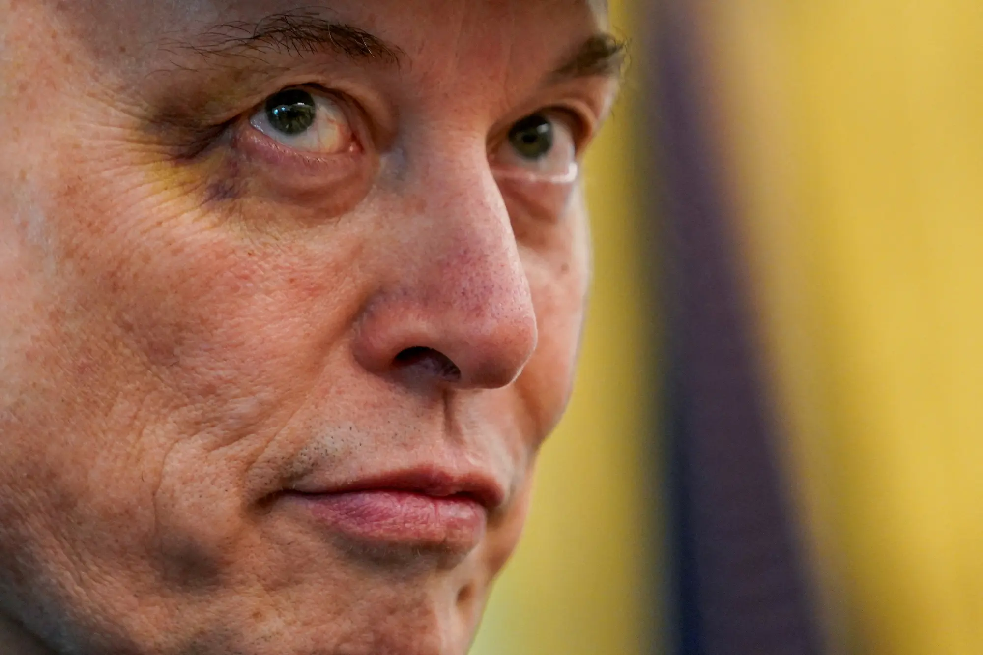 شکایت از ایلان ماسک به‌دلیل «قرعه‌کشی غیرقانونی» یک ‌میلیون‌ دلاری در زمان انتخابات