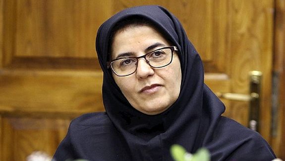 مقام وزارت گردشگری: قطر و ترکیه تنوع ندارند، ایران برای تماشاگران جام جهانی جذابتر است