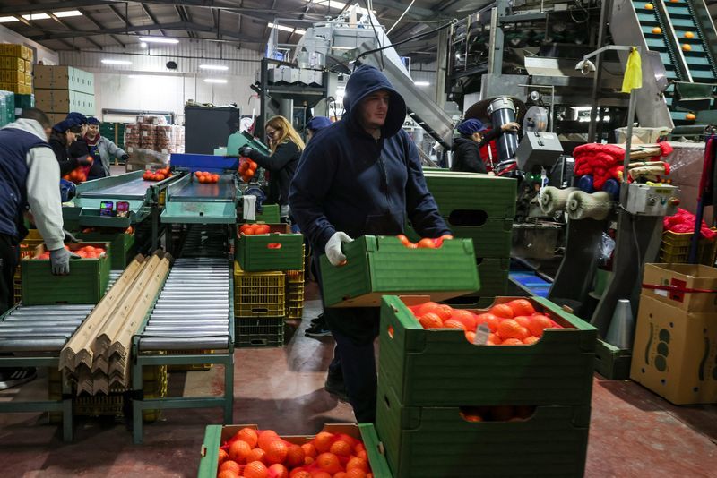 چین در پاسخ به جنگ تعرفه‌ای ترامپ، کشاورزی آمریکا را هدف می‌گیرد