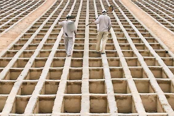 مدیرعامل بهشت زهرا: تعداد فوتیهای روزانه در طول ۵۰ سال اخیر بیسابقه بود