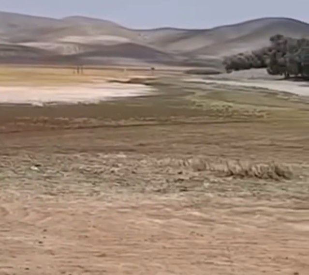 مرگ تدریجی دریاچه‌ها و تالاب‌ها در ایران؛ نوبت به تالاب قوری‌گل رسید