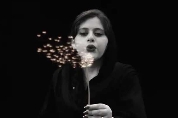 Mahsa’s dandelion: step by step through Iran's Woman, Life, Freedom