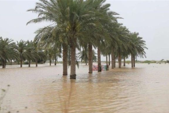 Date palms under water in the southeastern Iranian province of Sistan-Baluchestan