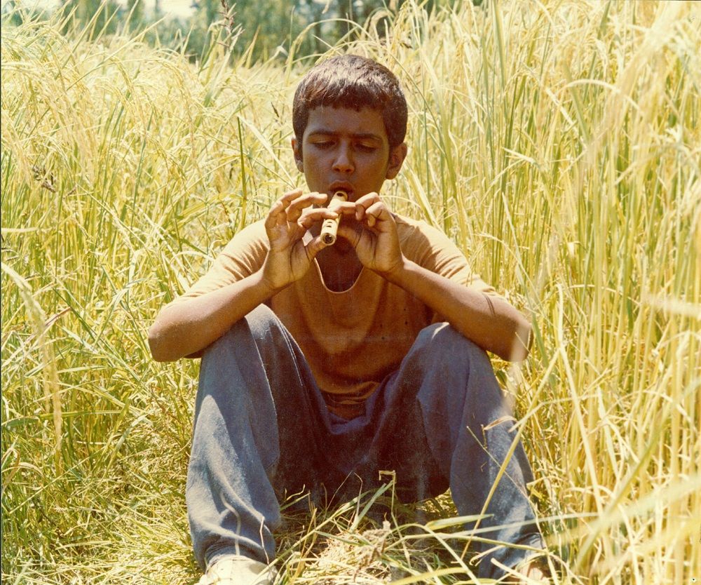 «باشو، غریبه‌ کوچک» و فرزندان آفتاب و زمین