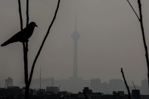 A bird perches on a branch as heavy smog shrouds Tehran, leaving its iconic Milad Tower barely visible through the pollution, November 25, 2025