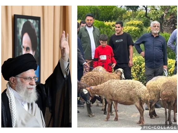 مسؤولون إيرانيون ينحرون 12 خروفا للحرس الثوري بعد الهجوم على إسرائيل