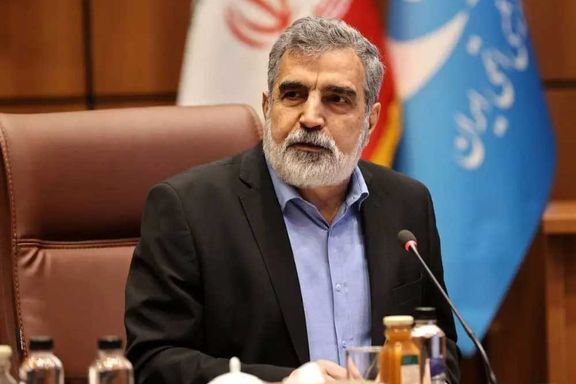 سخنگوی سازمان انرژی اتمی جمهوری اسلامی: غنیسازی را به شکل چشمگیری افزایش میدهیم