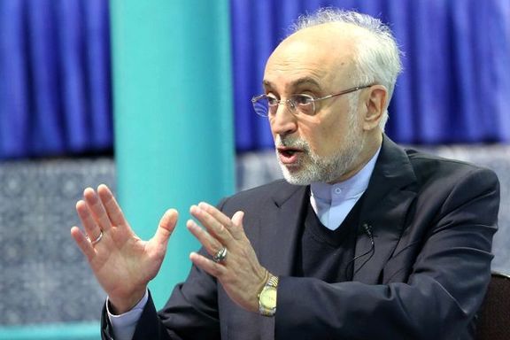 علی اکبر صالحی، وزیر خارجه پیشین: هیچ شرمندگی و ابایی نداریم که بگوییم حامی مقاومت هستیم