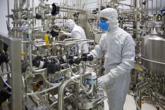 محمد مرندی خبر تهران تایمز درباره «خرابکاری آمریکا در تولید واکسن برکت» را تکذیب کرد