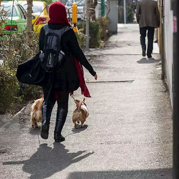 روزنامه کیهان گرداندن سگ را «معضل اساسی» مردم معرفی کرد و خواستار برخورد قضایی با آن شد