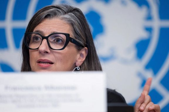 فرانسسکا آلبانیز، کارشناس سازمان ملل