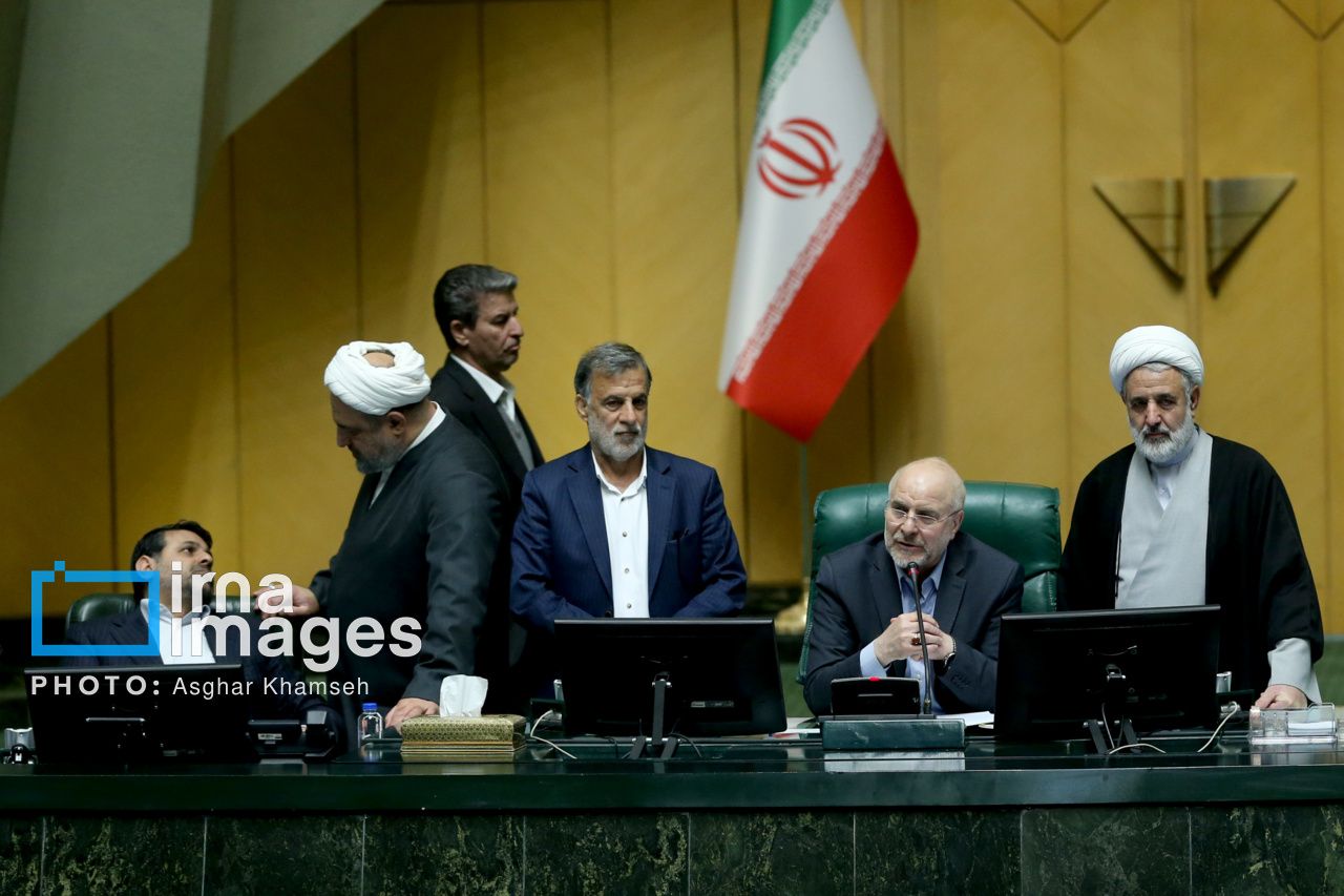 Iran’s parliament speaker calls for seats for expatriates 