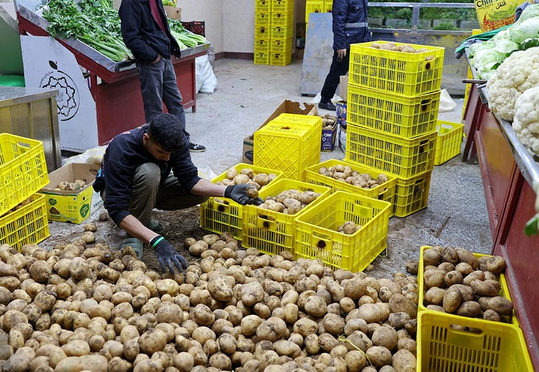 در پی افزایش نارضایتی‌‍‌ها، سران قوای جمهوری اسلامی به بحران سیب‌زمینی ورود کردند
