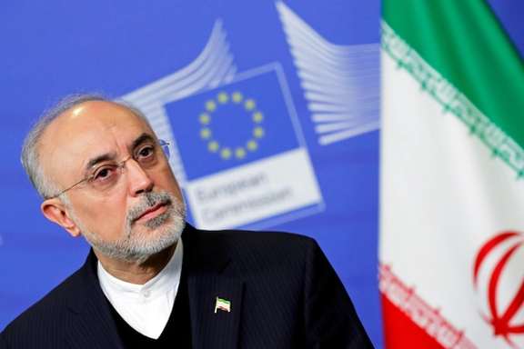 Iran's former nuclear chief Ali Akbar Salehi at the EC headquarters in Brussels, Belgium November 26, 2018