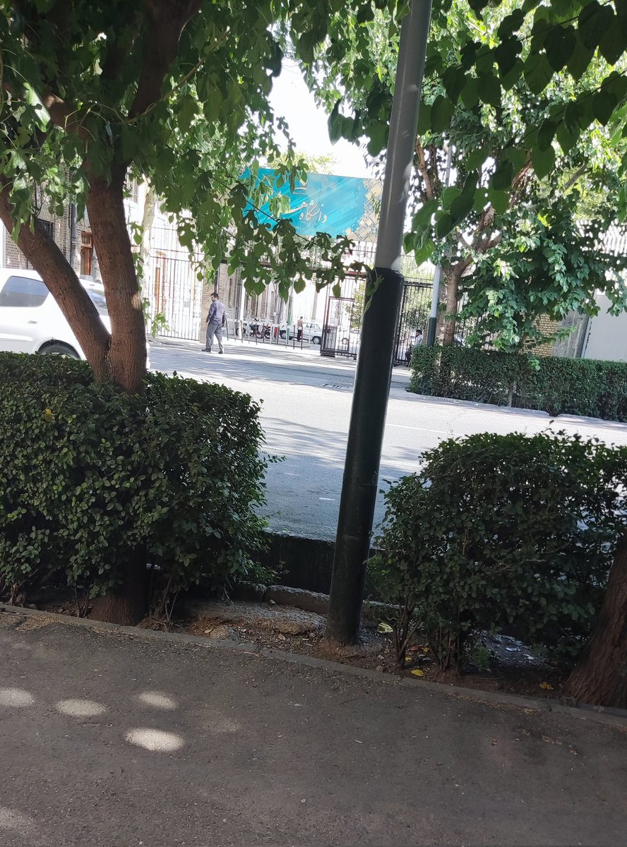 موج گسترده حمایت‌ از دانشجویان دانشگاه هنر: «صدایتان لرزه‌ بر اندام دیکتاتور انداخت»