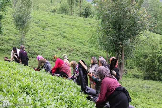 Iranian Politician Warns About Multiple Corruption Cases