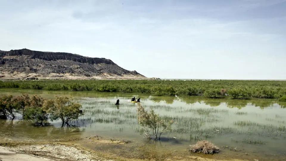 Iran’s Sistan-Baluchestan faces irreversible collapse as Hamoun wetlands dry up