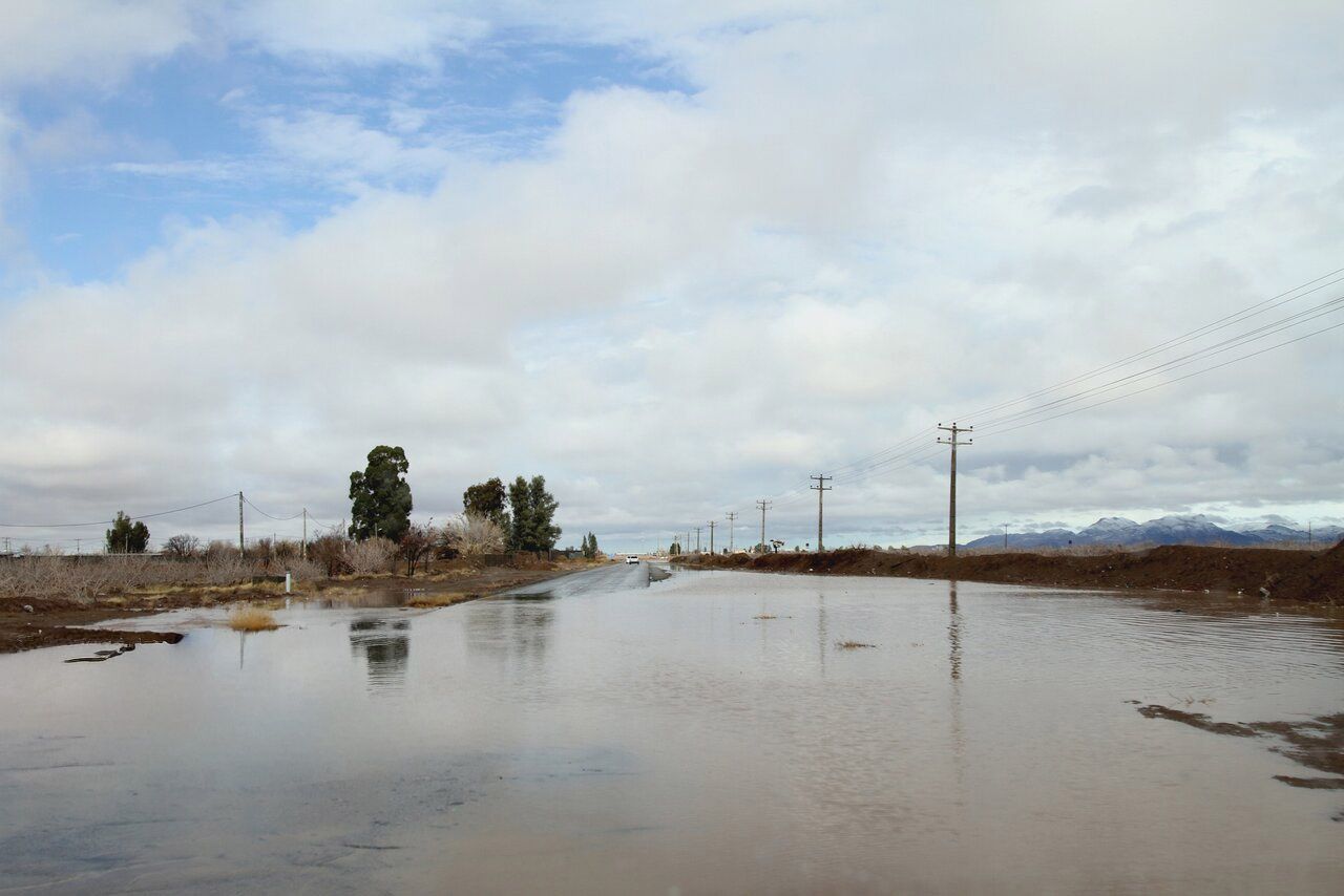 بارش باران در سیرجان و آب‌گرفتگی معابر شهری، نوامبر ۲۰۲۵