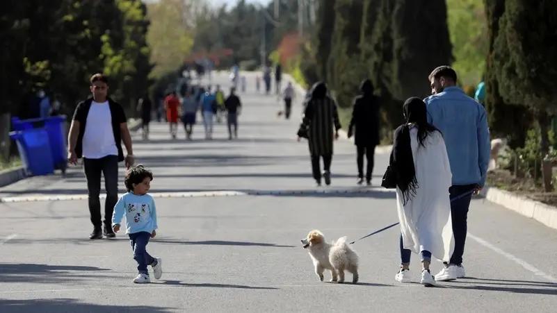 Iran extends dog walking bans to more than 20 cities as crackdown widens