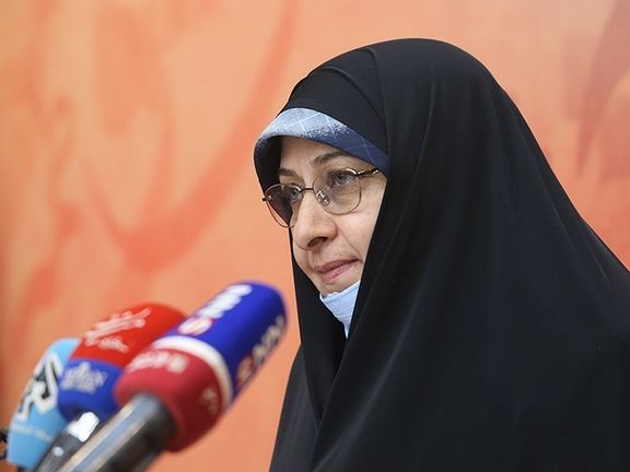 معاون ابراهیم رئیسی: دولت از خانوادههای دارای فرزند چندقلو حمایت میکند