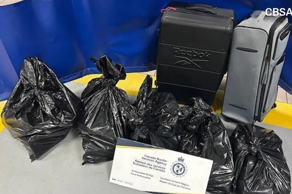 راننده ایرانیتبار با ۲۳ میلیون دلار کوکائین در مرز آمریکا و کانادا بازداشت شد