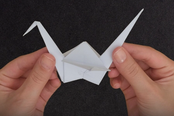 پرنده مهسا؛ هزار درنای ناتمام ایران