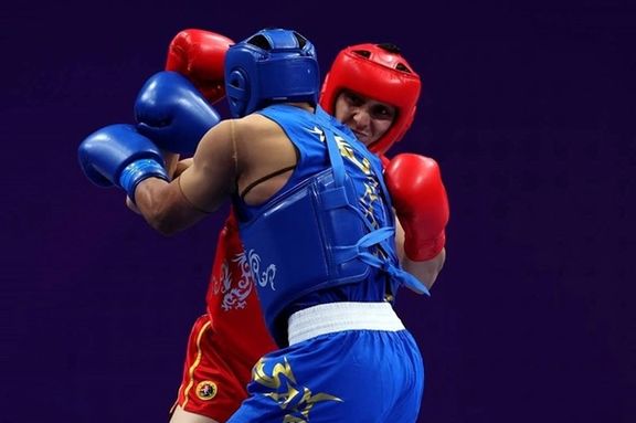 آمریکا ویزا نداد، تیم ایران از حضور در مسابقات جهانی ووشو باز ماند