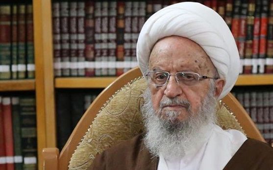 مکارم شیرازی، مرجع تقلید: جوانان باید در روستاها ماندگار شوند