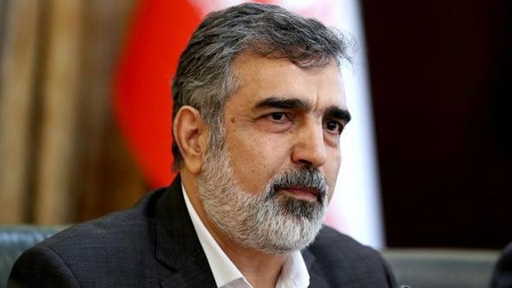 Iran's nuclear spokesperson Behrouz Kamalvandi - File Photo