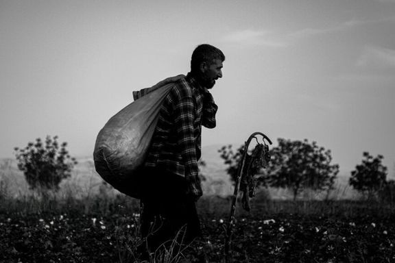 A cotton-picker walks off the field at the end of a work day in Iran's northeastern province of North Khorasan, November 6, 2025