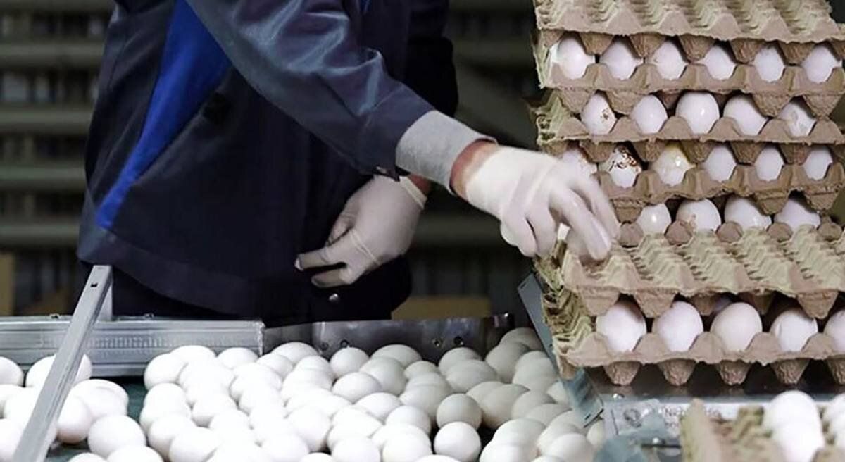 Iran, where eggs are a better bet than cash