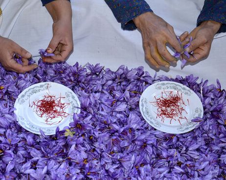 مقام سابق اتاق بازرگانی: کالاهای ایرانی با برند امارات به آمریکا و اروپا صادر میشوند