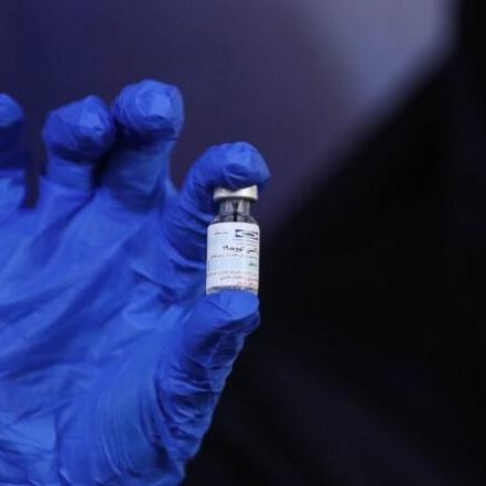 رییس سازمان نظام پزشکی: آشکار بود ساخت واکسن کرونا در داخل طی ماههای اول سال۱۴۰۰ به نتیجه نمیرسد