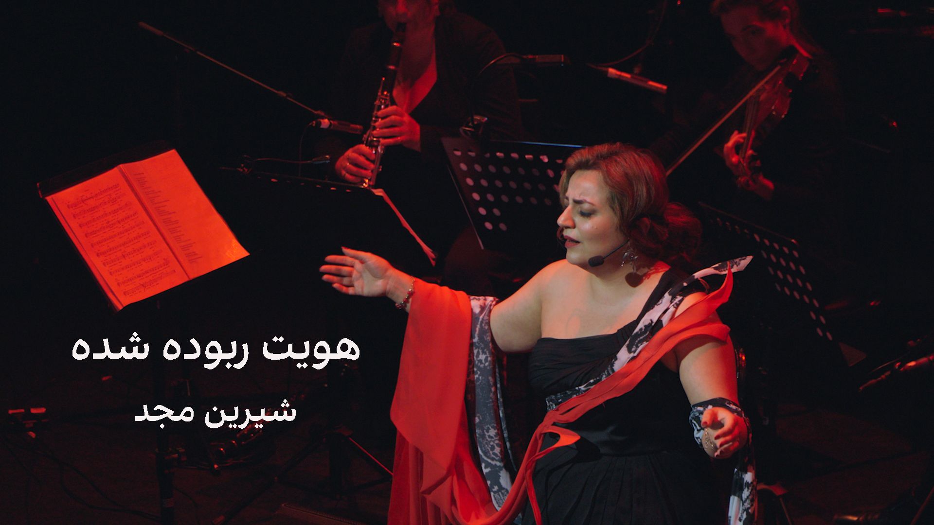 هویت ربوده شده – شیرین مجد