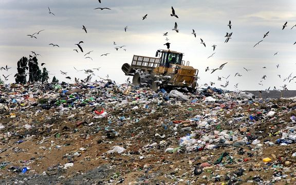 عضو شورای شهر تهران: سود جمعآوری زبالهها به جیب مافیا میرود