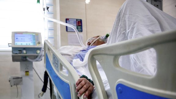 دانشگاه پزشکی البرز: ۱۷۵ نفر بر اثر مصرف مشروبات الکلی تقلبی مسموم شده و ۱۳ نفر فوت کردند