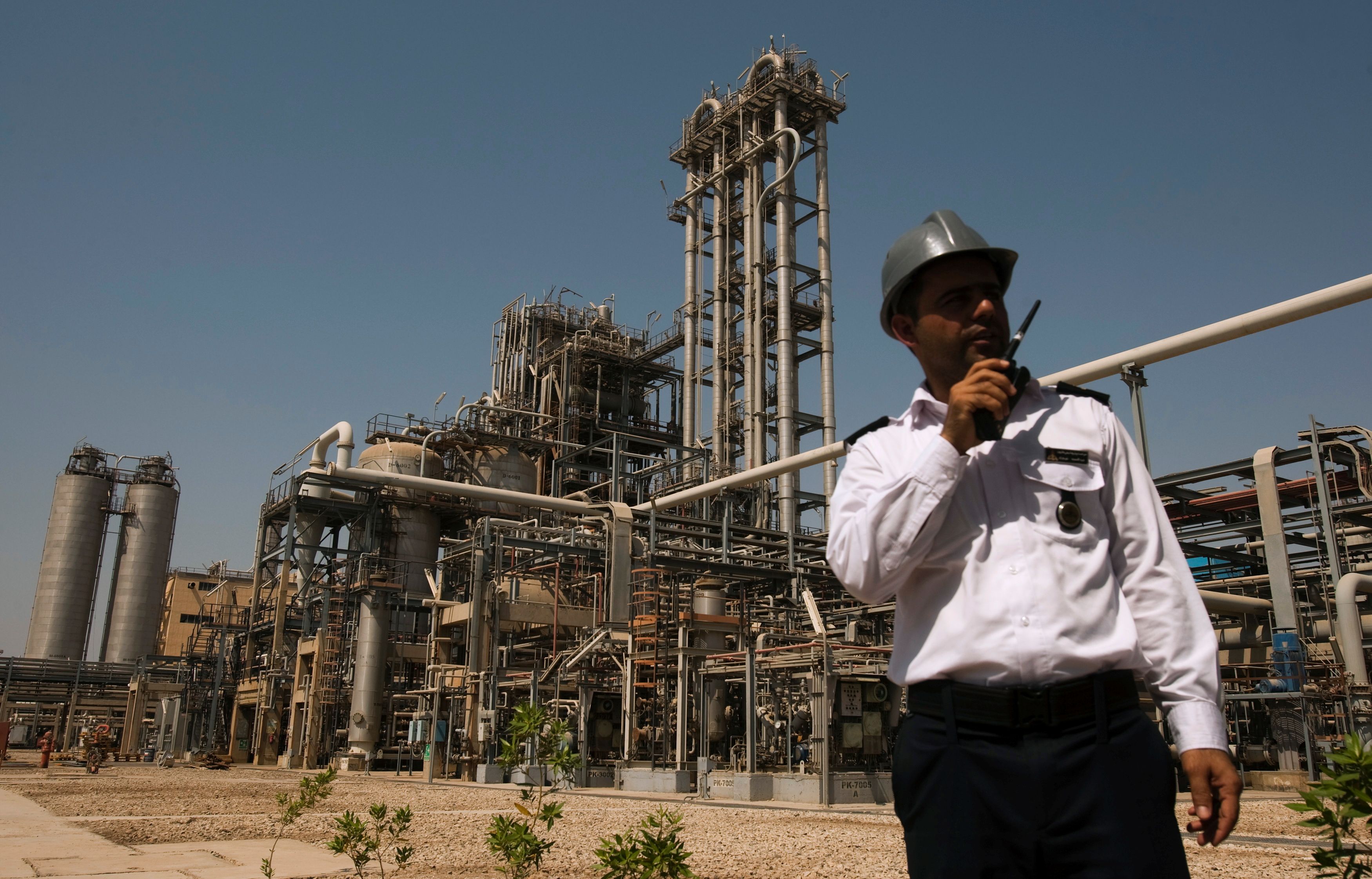 Gas supply to 12 petrochemical plants in Iran cut off, official says