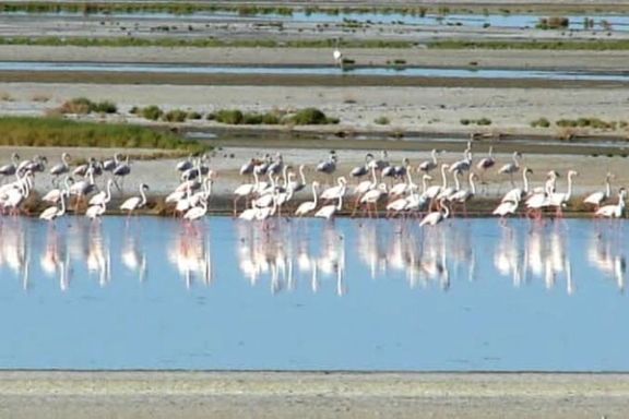 A file photo of Gavkhuoni wetland (Undated)
