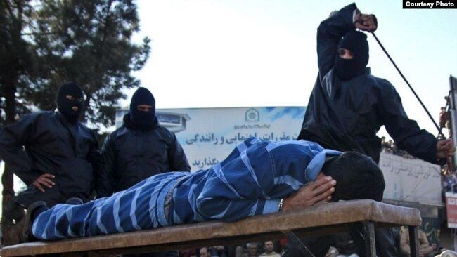 تنفيذ حكم بالجلد ضد سجين إيراني بتهمة نقل وتخزين مشروبات كحولية